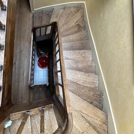 וילה Bed And Birds