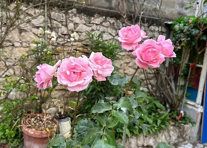 Bed And Birds Villa Tours